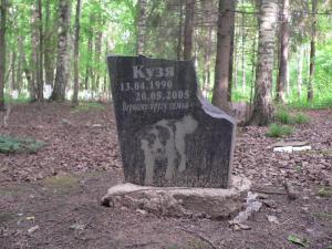 Жителям Нижнего Новгорода выдали земельные участки на кладбище домашних животных - Похоронный портал