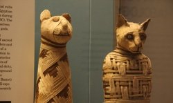 Археолог рассказал о мумиях-пустышках, найденных в Египте.