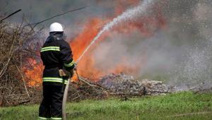 Около 2 тыс га горит на территории национального парка в Приморье  - Похоронный портал