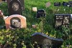 В парке Санкт-Петербурга появилось стихийное кладбище домашних животных