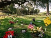 Американского полицейского похоронили на кладбище домашних животных - Похоронный портал