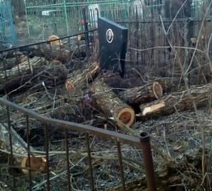 В брянском селе уборка кладбища снова обернулась скандалом - Похоронный портал