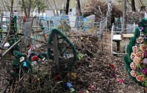 Смоленских чиновников отругали за бардак на кладбищах - Похоронный портал