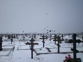 Содержанием хабаровских кладбищ займется городское управление ЖКХ - Похоронный портал