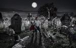 В Петербурге детям запретят появляться ночью на кладбищах