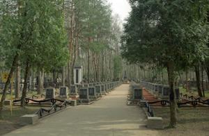 В Подмосковье наметился дефицит мест на кладбищах - Похоронный портал
