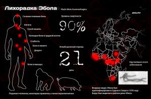 В Молдавии ищут лихорадку Эбола - Похоронный портал