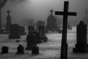 В Клинцах нашли незаконное кладбище - Похоронный портал