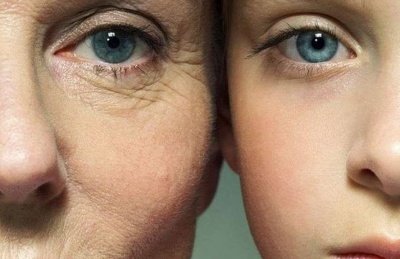 Матери и дочки имеют одинаковую скорость старения