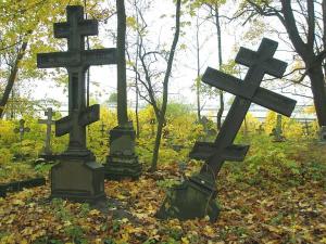 При проверке кладбищ Ногинского района выявлены вопиющие нарушения  - Похоронный портал