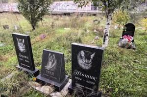 Где похоронить собаку? В Беларуси нет кладбищ для животных - Похоронный портал