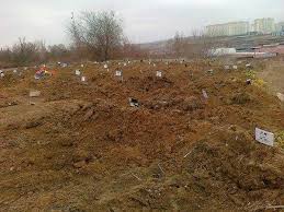 Правительство Новосибирской области выделило 18,9 га под новое кладбище - Похоронный портал