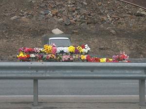 Цветы на кладбищах Владивостока можно купить от 10 рублей за штуку - Похоронный портал