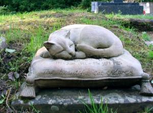 Чиновники: несите умерших котов в крематорий - Похоронный портал
