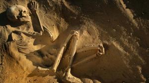 Американские археологи нашли скелет древней девочки, больной туберкулёзом - Похоронный портал