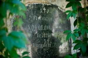 Малолетние вандалы разбили на древнем польском кладбище более 100 надгробий - Похоронный портал