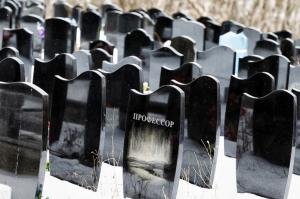 Новое кладбище в Улан-Удэ откроют к 1 декабря - Похоронный портал
