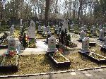 В Волгоградской области суд обязал власти разграничить зону охраны мемориального кладбища