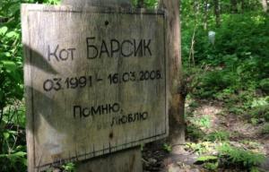 Мэрию Омска заставили снести кладбище для домашних животных - Похоронный портал
