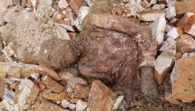 В Иране найдена мумия шаха