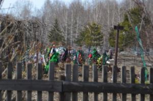 Глухим забором оградить дачи от кладбищенских могил приказал мэр Бердска - Похоронный портал