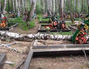 Упавшее дерево поломало памятники на новосибирском кладбище  - Похоронный портал