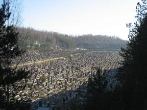 Кузьмоловское кладбище отберут у частников - Похоронный портал