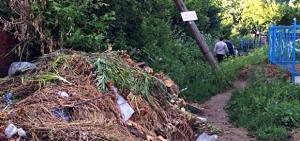 Власти Кургана ищут желающих убрать 830 тонн мусора с местных кладбищ - Похоронный портал
