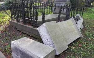 В Рязанской области вандалы уничтожили могилы и кресты на кладбище - Похоронный портал