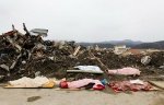 Пострадавшую от землетрясений Японию заваливают горы трупов - Похоронный портал