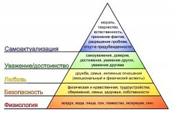 Андрианов Владимир: Потребности, желания, удовольствия и чувство меры