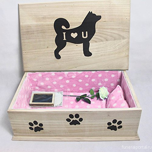 Житель Сызрани заказал похороны любимой собаки с памятником и катафалком - Похоронный портал