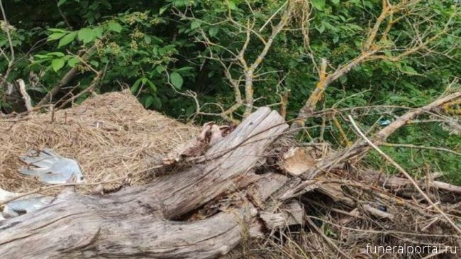 Иваново. На кладбище Шуйского района обнаружена гора мусора - Похоронный портал