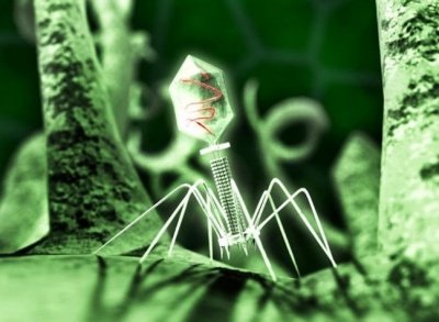 Ученые сравнили вирус с демонами