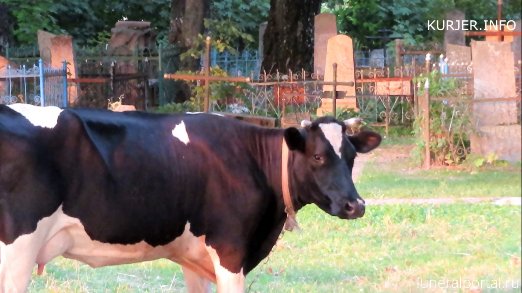 Новости компаний похоронной отрасли