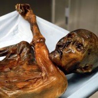В московской квартире найдена мумия пенсионерки - Похоронный портал