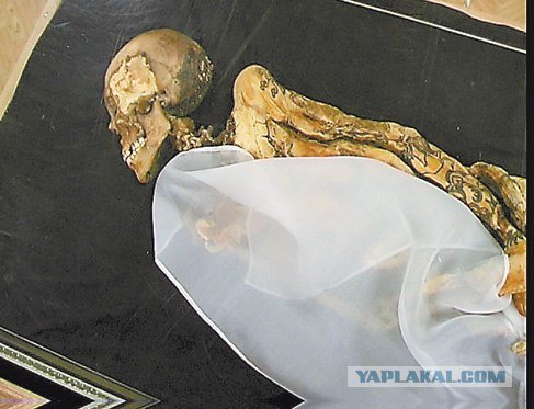 «Алтайская принцесса» задержится в Новосибирске - Похоронный портал