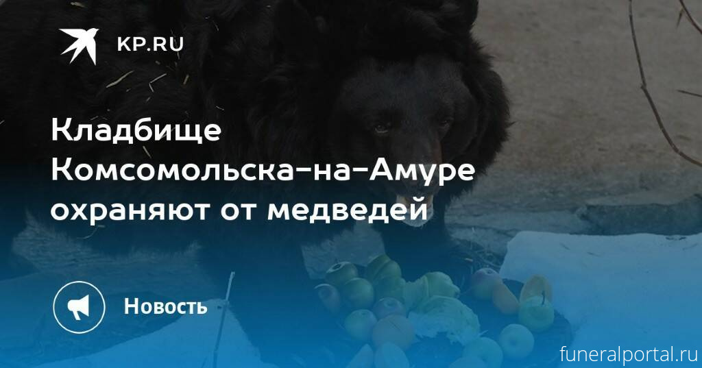 Комсомольск-на-Амуре. Регулярные патрули начали работать на территории кладбища  - Похоронный портал