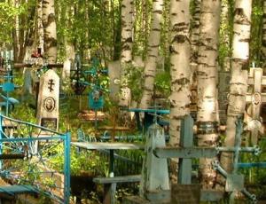 В Жирятинском районе нашли 13 бесхозных кладбищ - Похоронный портал