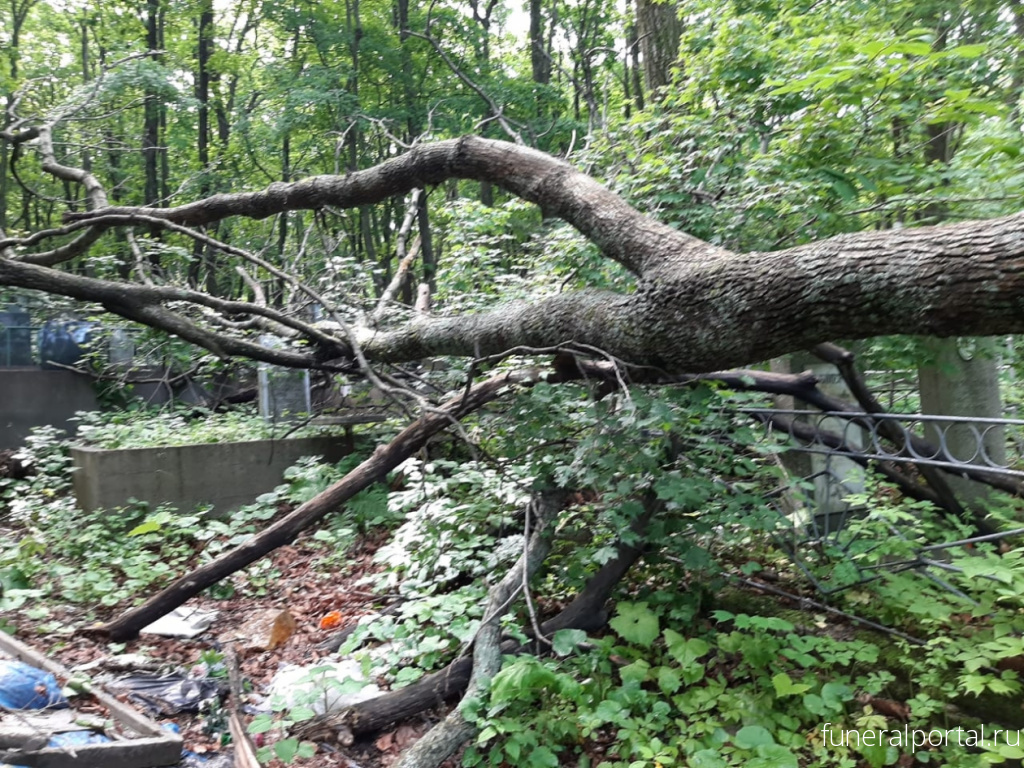 Новости компаний похоронной отрасли