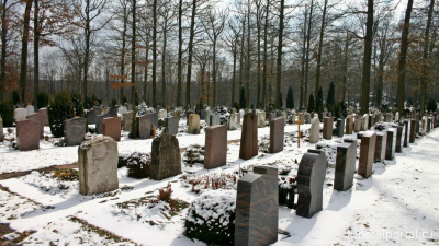 В Комсомольске-на-Амуре подыскивают место для нового кладбища - Похоронный портал
