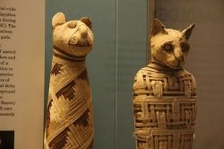 25 любопытных и малоизвестных фактов о мумиях