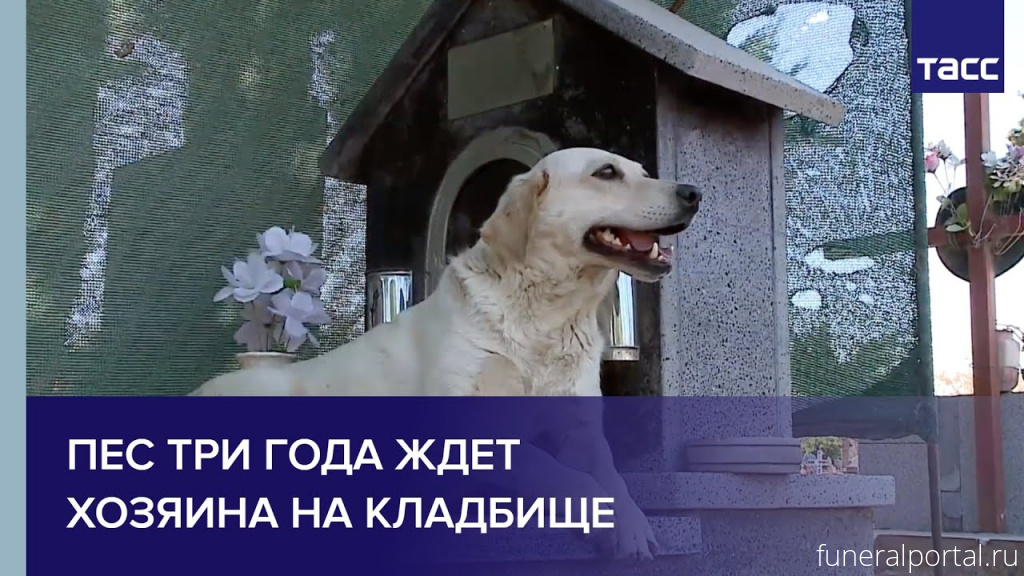 Новости компаний похоронной отрасли