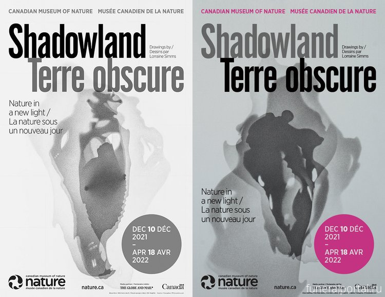 Exhibit at Ottawa's museum of nature finds art in the shadows of endangered animals - Похоронный портал