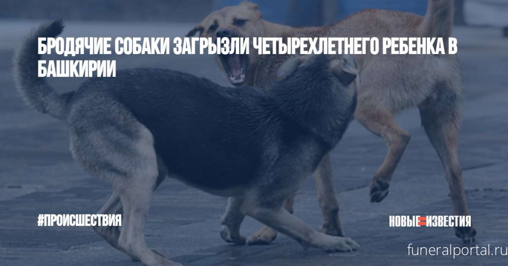 Собаки загрызли четырехлетнего мальчика - Похоронный портал