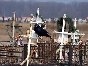 Мэрия Владимира обеспокоена состоянием городских кладбищ - Похоронный портал