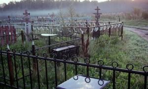 На кладбище в Подмосковье построят коттеджный поселок - Похоронный портал
