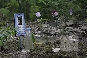 В Шымкенте уничтожили кладбище домашних животных - Похоронный портал