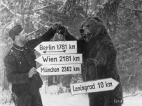 Немцам не понравилось, как русские вспоминают блокаду Ленинграда