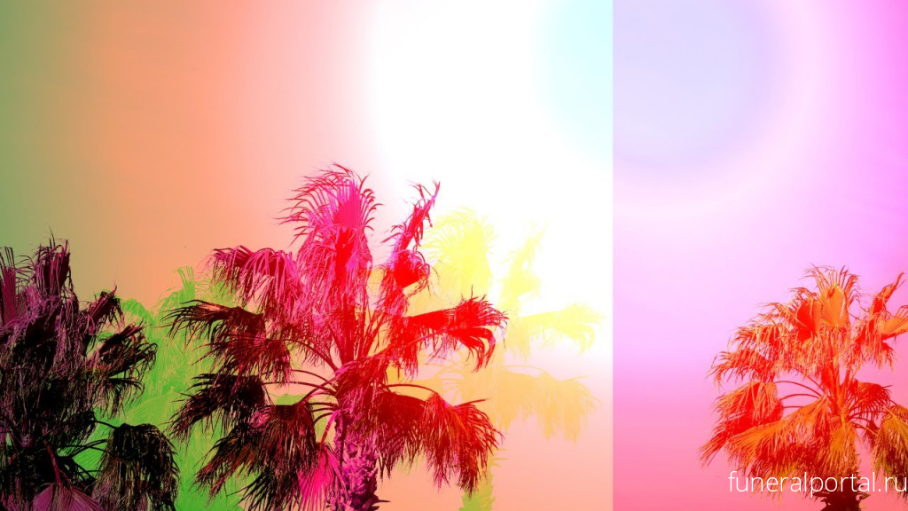 Новости компаний похоронной отрасли